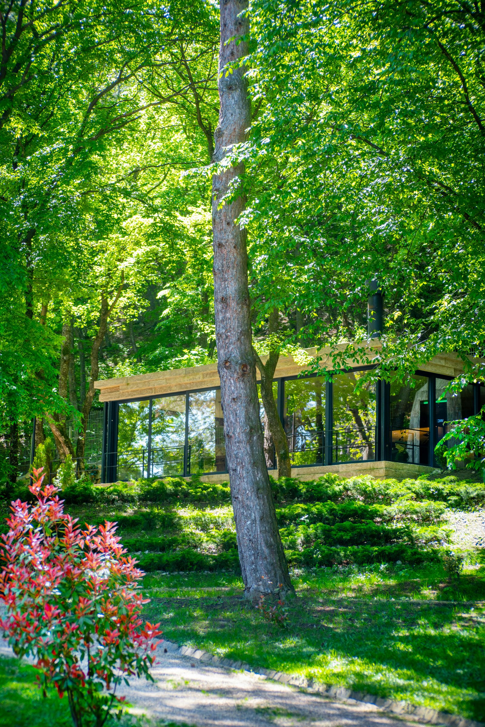 Maison écologique moderne entourée de verdure
